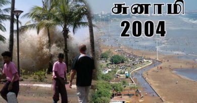 2004 tsunami videos and photos