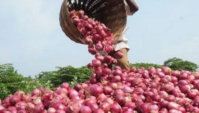 Onion 1kg 10 rupees