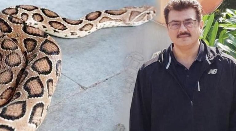 அஜித் வீட்டில் வனத்துறையினர் அதிரடி சோதனை!