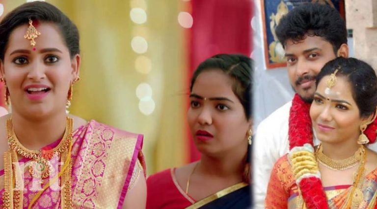 தேன்மொழி சீரியல் நடிகை காதலரை திருமணம் செய்தார்!