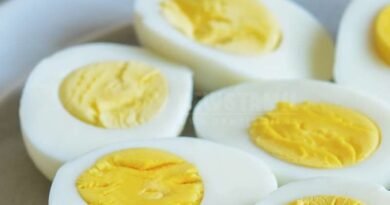 Cancer Risk in Eggs? Tamil Nadu Launches Statewide Inspection Over Banned Antibiotics