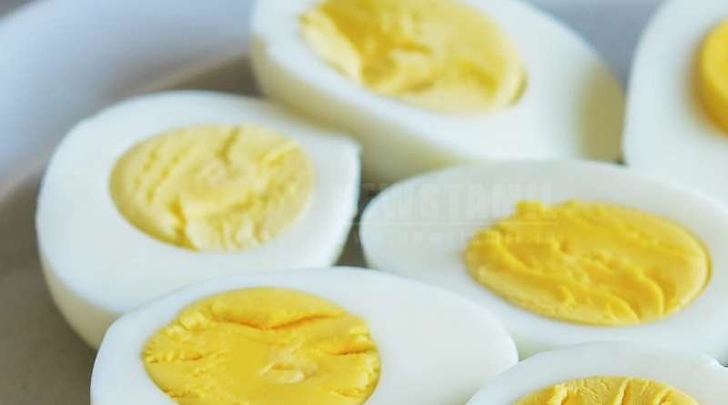 Cancer Risk in Eggs? Tamil Nadu Launches Statewide Inspection Over Banned Antibiotics