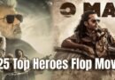 2025 top heroes flop movies