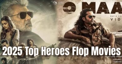 2025 top heroes flop movies