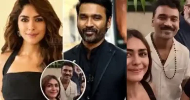 Dhanush relationship and mrunal thakur about her love failure